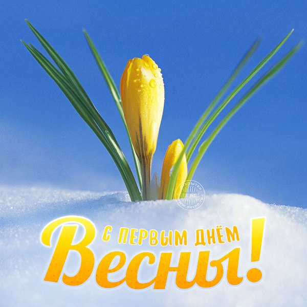 С первым днём весны!. Фото 1